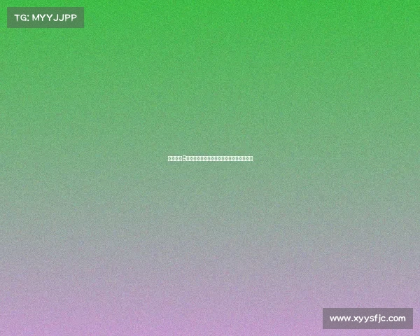 深入了解B类赛事认证的内涵价值与核心要素探讨指南